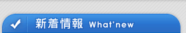 かつら・増毛のアイスリィー|更新情報